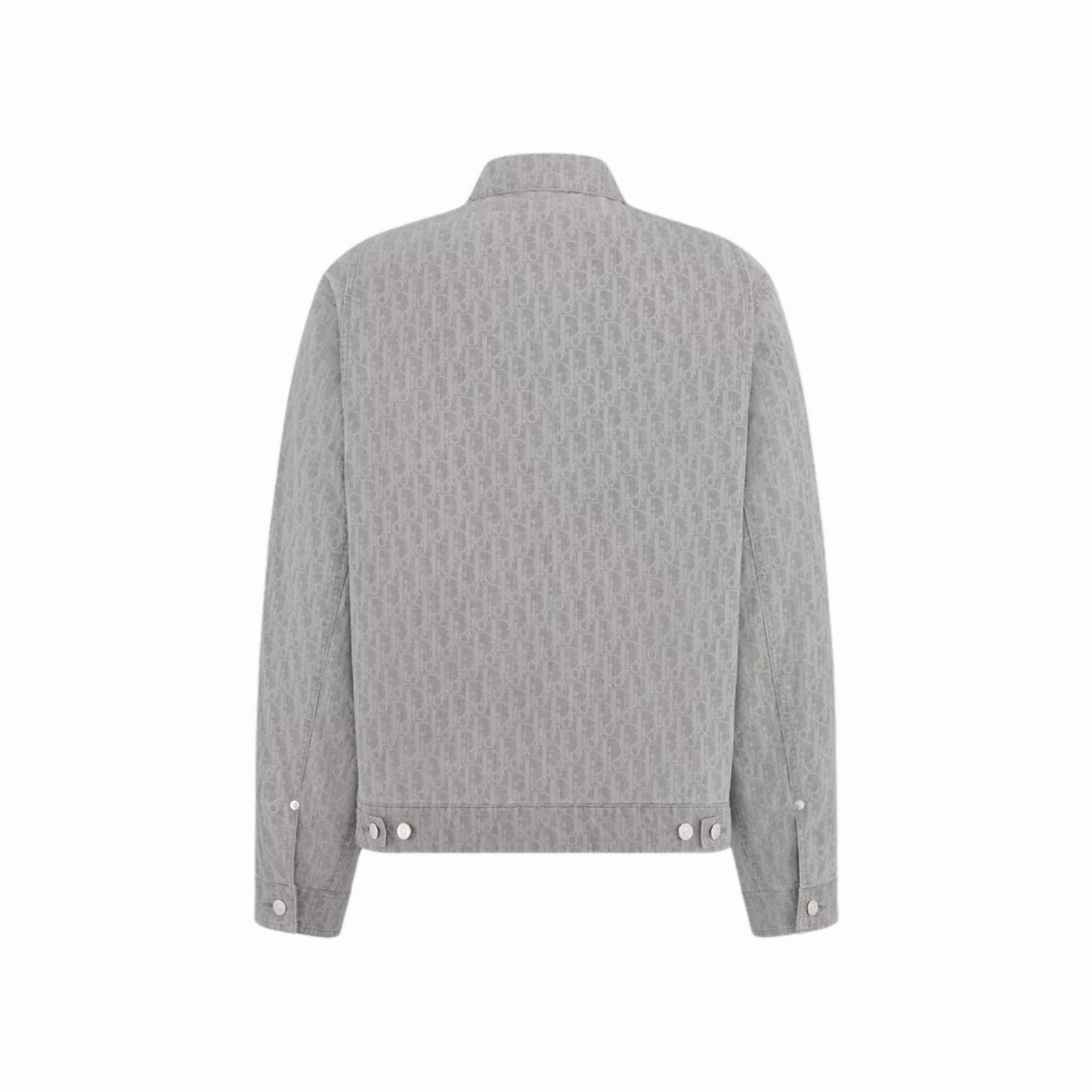 Dior Oblique Zipped Blouson Jacket