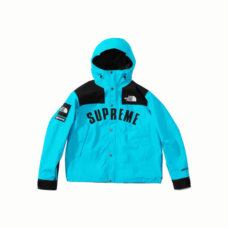 Supreme The North Face Arc Logo Mountain Parka