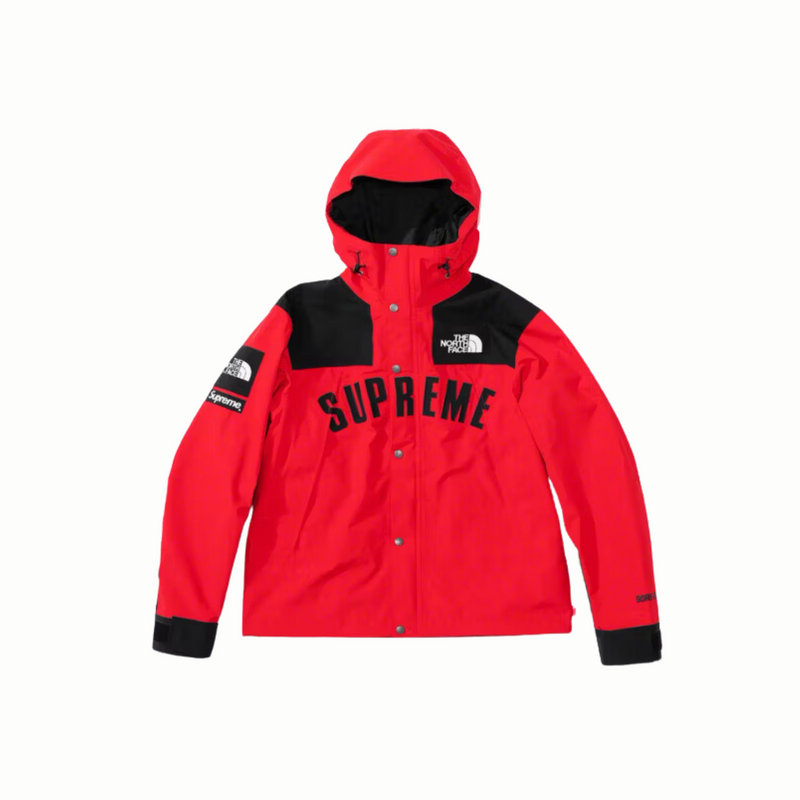 Supreme The North Face Arc Logo Mountain Parka