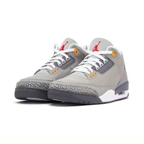 Jordan 3 Retro Cool Grey (2021)