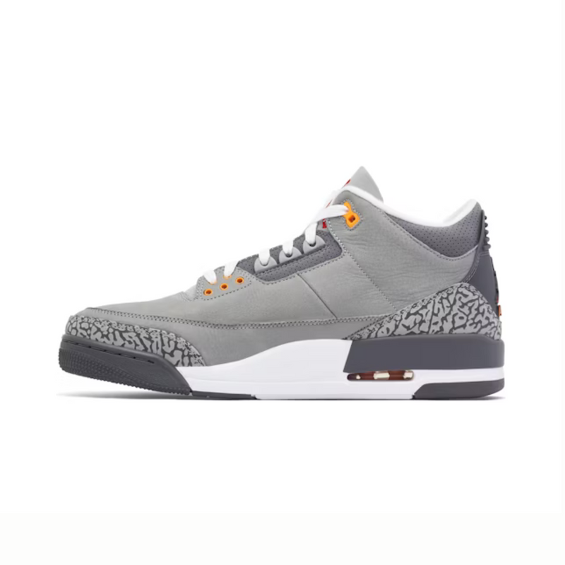 Jordan 3 Retro Cool Grey (2021)