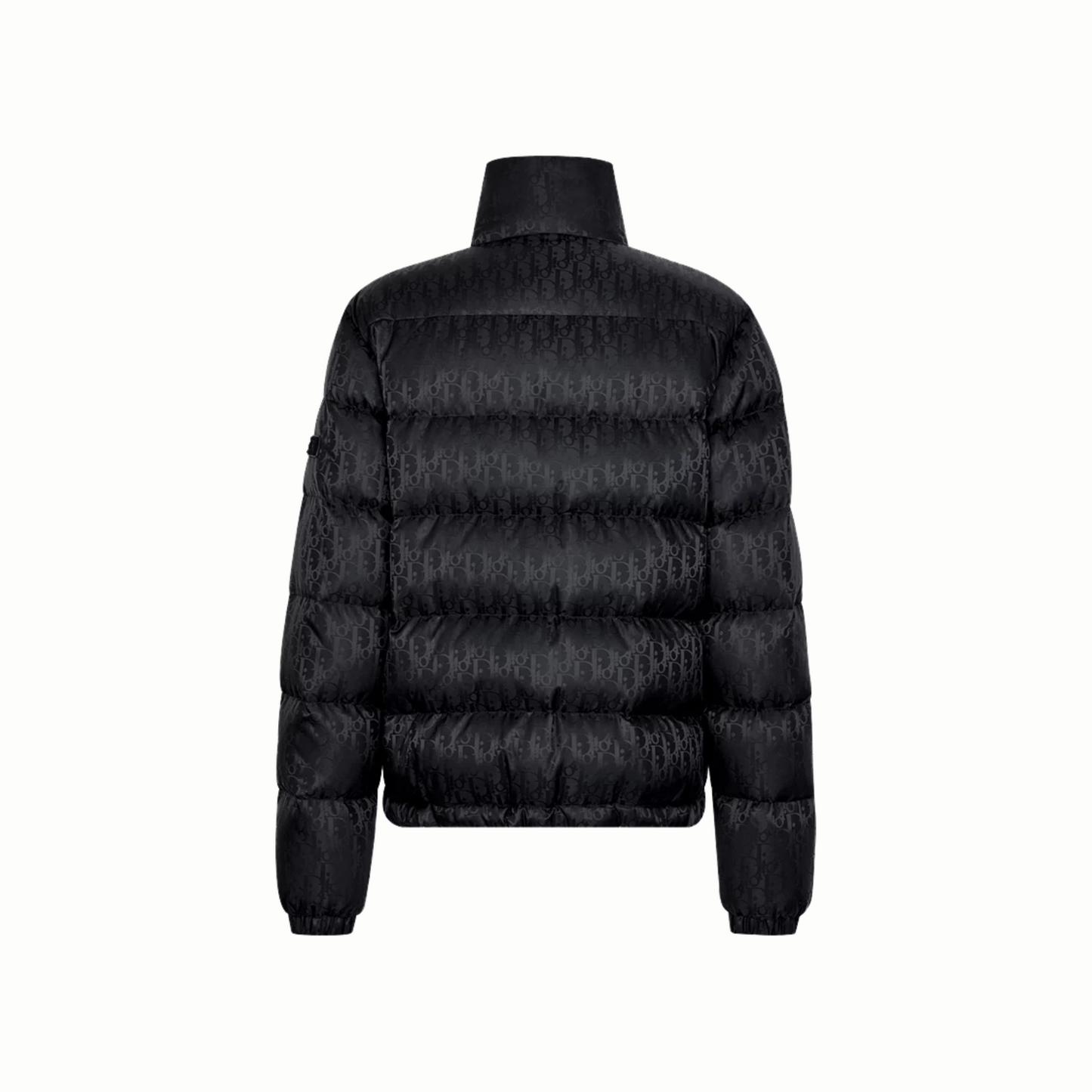 Dior Oblique Down Jacket